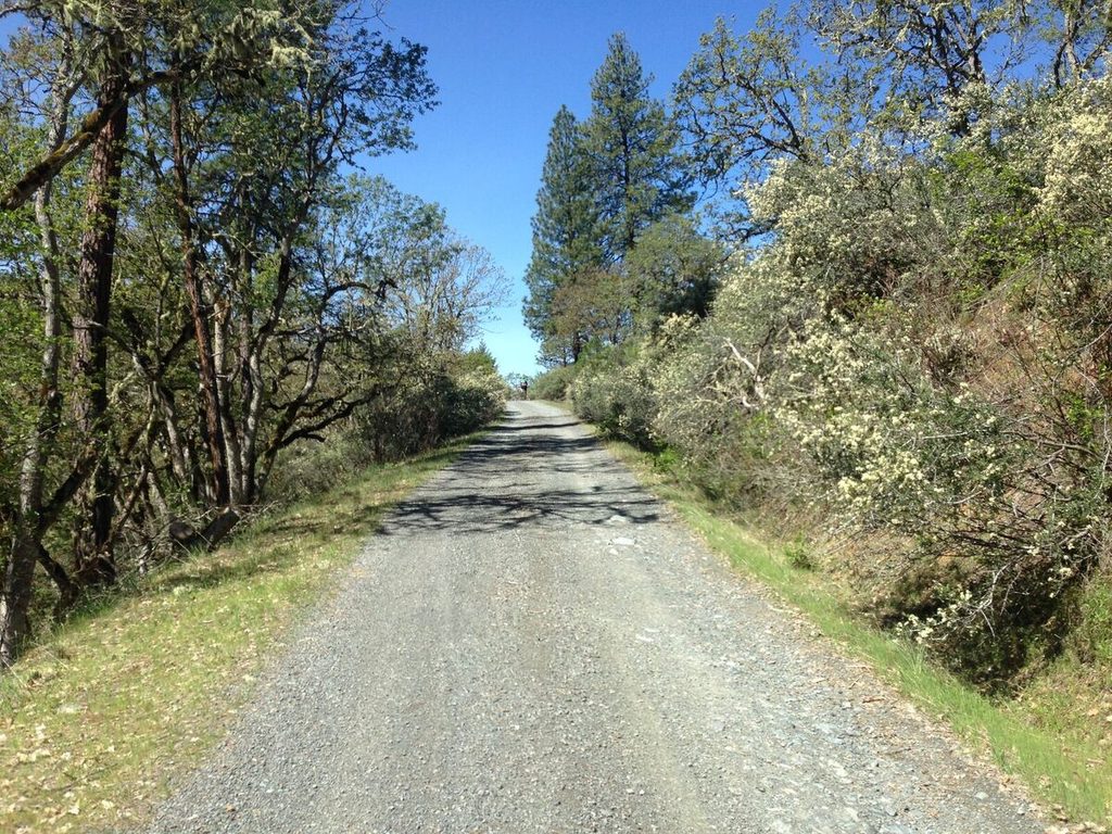 More Anderson steepness.