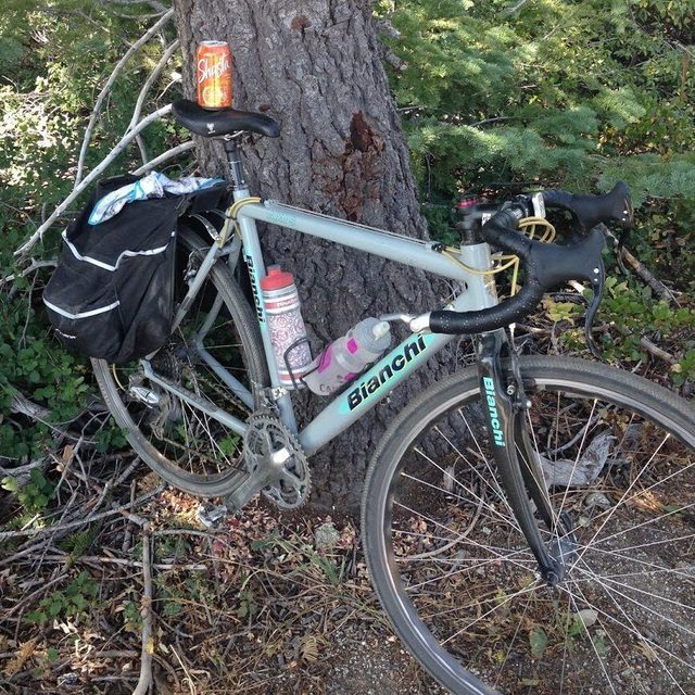 USH in situ near the Mt. Ashland summit.