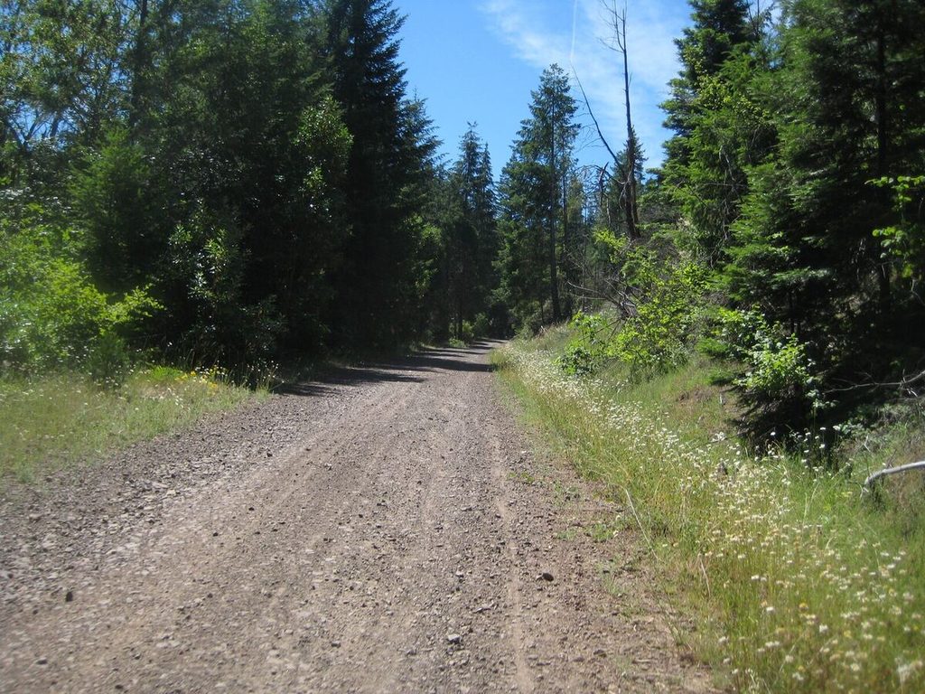 Heading up the first long climb.