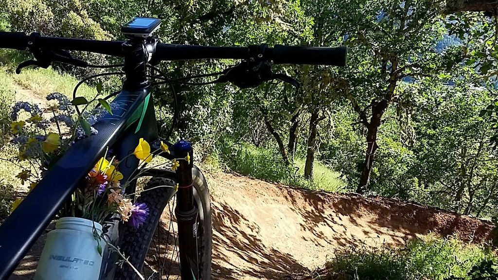 Two days later, I found myself climbing the main trail up MOTR three different times so I could take the 3 different descents back down. The final descent was down the new trail, Freewheel. While I don't have the skill, or courage, necessary to take that bad boy at full speed, the high banked curves were a BLAST!! Yes, that is my water bottle doubling as a mobile vase that may, or may not have earned me some brownie points at home!