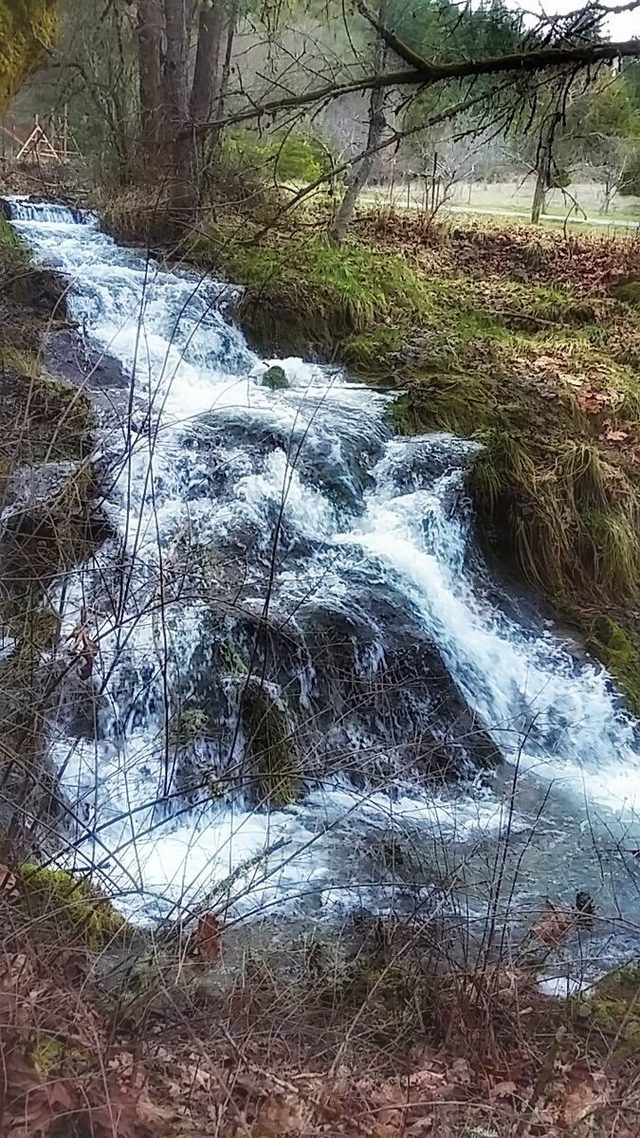 There's a good bit of water in Anderson Creek right now.