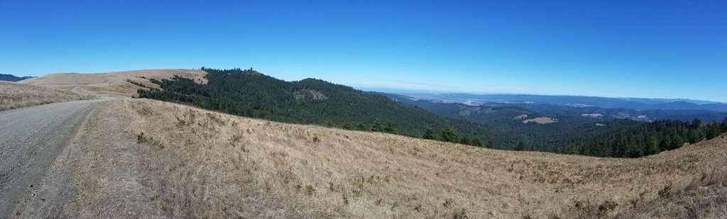 8 Pano