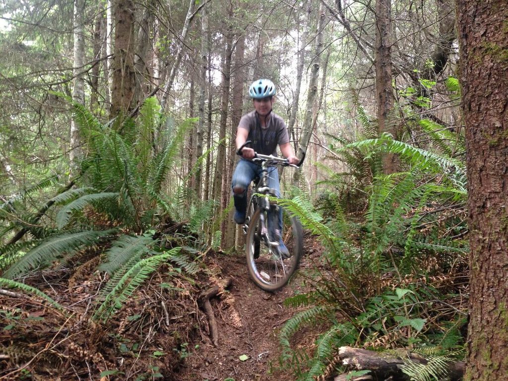 Dropping in.