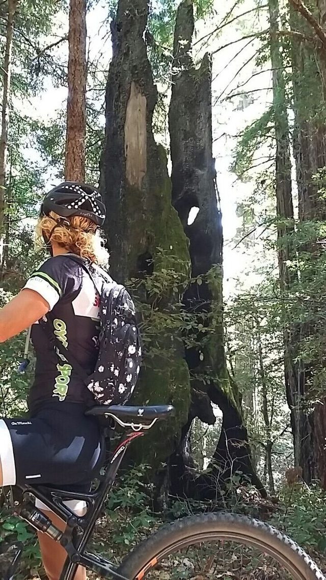 We were a bit surprised at the number of burned out trees interspersed among big, healthy ones.