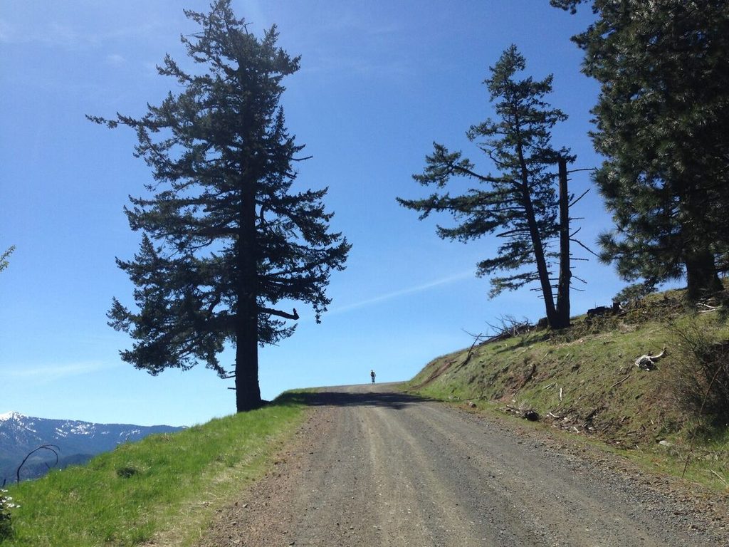 The majesty of Anderson Butte Road.